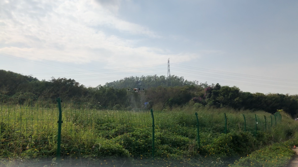 鼎峰植保無人機，打藥效率高、成本低、防治效果好！